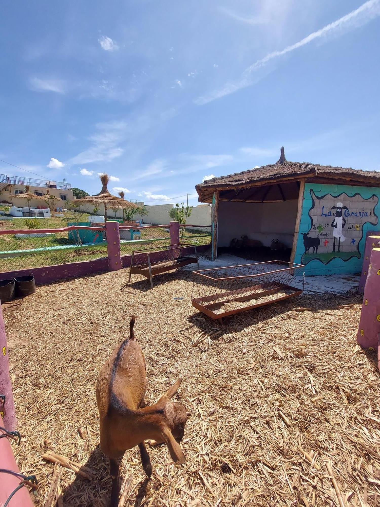 La Granja Tétouan